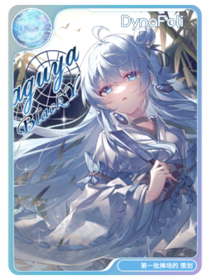 Rizcard DynaFoli.png